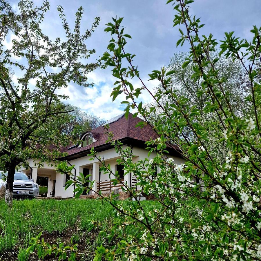 Provence Suceava Hotel Exterior photo